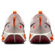 Nike Pegasus Trail 5